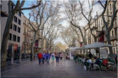A tree-lined pedestrian street that stretches for 1.2 kilometres connecting Plaça de Catalunya with the Christopher Columbus Monument at Port Vell.